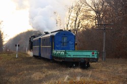 На Одесской железной дороге провели туристический ретро-тур на узкоколейке с паровозом (ФОТО)