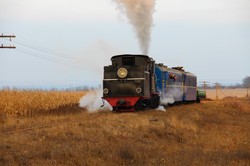 На Одесской железной дороге провели туристический ретро-тур на узкоколейке с паровозом (ФОТО)