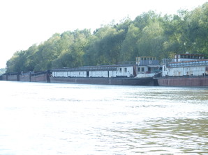 Дунайське пароплавство відновило експлуатацію 23 барж