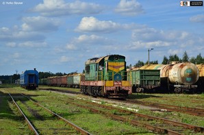 Для залізничних перевезень зерна відкрили прикордонний перехід у Раві-Руській