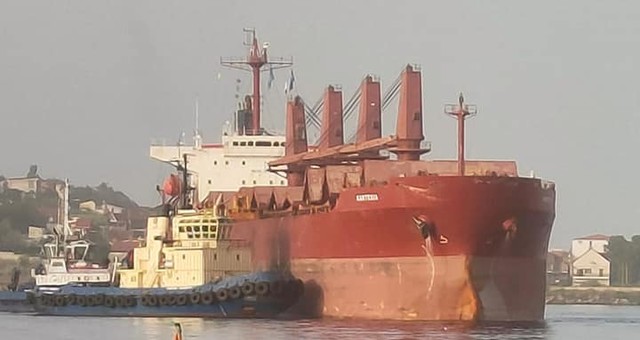 З морських портів Одеської області вивезли вже більше мільйона тон вантажів (ВІДЕО)