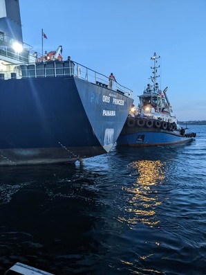 З портів Одеської області продовжується судноплавство