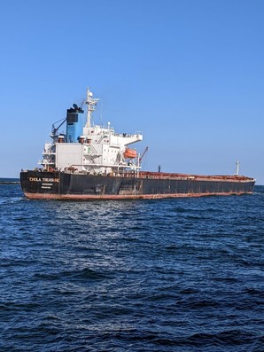 З портів Одеської області вийшли ще 5 суден
