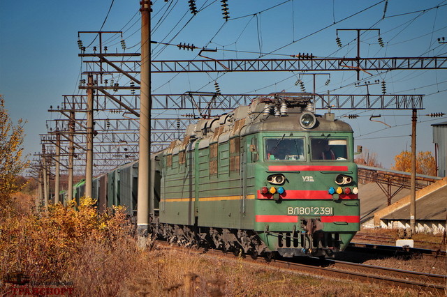 Більшість експортних перевезень залізницею спрямована до портів Одеської області (ВІДЕО)