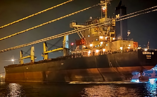 З портів Одеської області експортували 10,5 мільйонів тон вантажів за "зерновим коридором" (ВІДЕО)