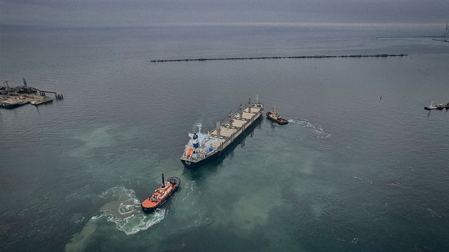 З портів Одеської області відправилися ще три судна (ВІДЕО)
