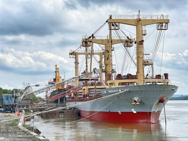 Дунайські порти Одеської області можуть обробляти понад 20 мільйонів тон вантажів щорічно