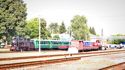 Всі українські паровози зібрали на залізничний ретро-фестиваль (ФОТО, ВІДЕО)