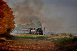 Золота осінь з паровозами на Гайворонській вузькоколійці (ВІДЕО)