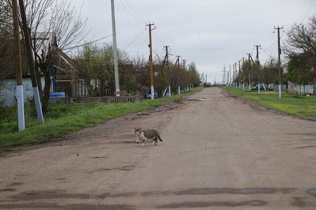 В Одеській області будуть ремонтувати сільську дорогу