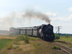 На Гайворонській вузькоколійці провели останній ретро-тур цього літа