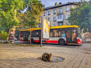 В Одесі тимчасово змінять декілька маршрутів громадського транспорту