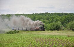 На Гайворонській вузькоколійці провели незвичний ретро-тур
