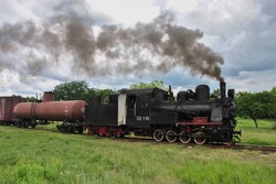 На Гайворонській вузькоколійці провели незвичний ретро-тур