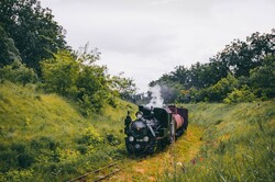 На Гайворонській вузькоколійці провели незвичний ретро-тур