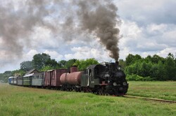 На Гайворонській вузькоколійці провели незвичний ретро-тур