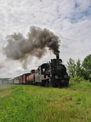 На Гайворонській вузькоколійці провели незвичний ретро-тур