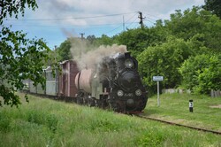 На Гайворонській вузькоколійці провели незвичний ретро-тур