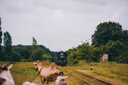 На Гайворонській вузькоколійці провели незвичний ретро-тур