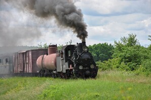 На Гайворонській вузькоколійці провели незвичний ретро-тур
