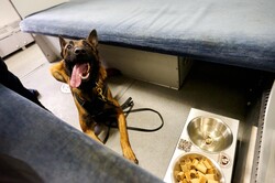 Залізниця переобладнала 100 старих пасажирських вагонів у пункти незламності