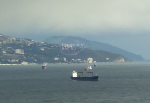 У росії є окремий "тіньовий флот" для вивозу краденого зерна з окупованих портів