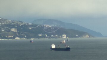 У росії є окремий "тіньовий флот" для вивозу краденого зерна з окупованих портів