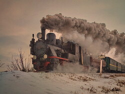 Вузькоколійка Одеської залізниці провела перший паровозний тур 2026 року