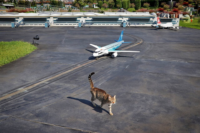 Уряд готує відновлення роботи українських аеропортів