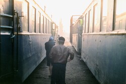 Гайворонська вузькоколійка. Перше знайомство.