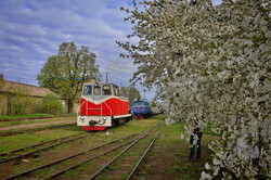На Гайворонській вузькоколійці провели незвичний туристичний рейс по всій діючій лінії (ВІДЕО)