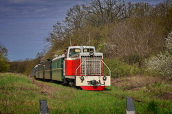 На Гайворонській вузькоколійці провели незвичний туристичний рейс по всій діючій лінії (ВІДЕО)