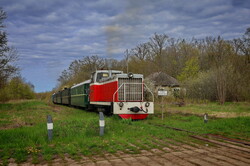 На Гайворонській вузькоколійці провели незвичний туристичний рейс по всій діючій лінії (ВІДЕО)
