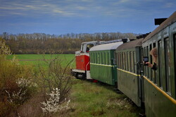 На Гайворонській вузькоколійці провели незвичний туристичний рейс по всій діючій лінії (ВІДЕО)