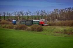 На Гайворонській вузькоколійці провели незвичний туристичний рейс по всій діючій лінії (ВІДЕО)