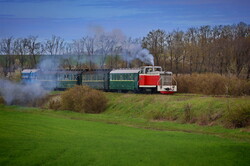 На Гайворонській вузькоколійці провели незвичний туристичний рейс по всій діючій лінії (ВІДЕО)