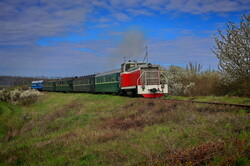 На Гайворонській вузькоколійці провели незвичний туристичний рейс по всій діючій лінії (ВІДЕО)
