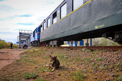 На Гайворонській вузькоколійці провели незвичний туристичний рейс по всій діючій лінії (ВІДЕО)