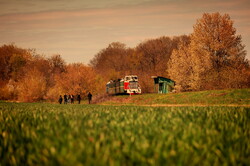 На Гайворонській вузькоколійці провели незвичний туристичний рейс по всій діючій лінії (ВІДЕО)