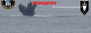 Знищено російський морський дрон: вій йшов в атаку на порт