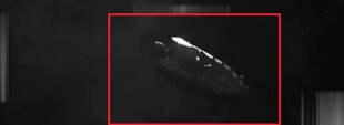 Біля Одеської області ВМС України знищили російський морський дрон