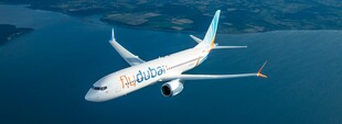 Перерваний політ: анатомія теракту на рейсі FlyDubai та його глобальні наслідки